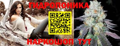 PSILOCYBIN Бугуруслан