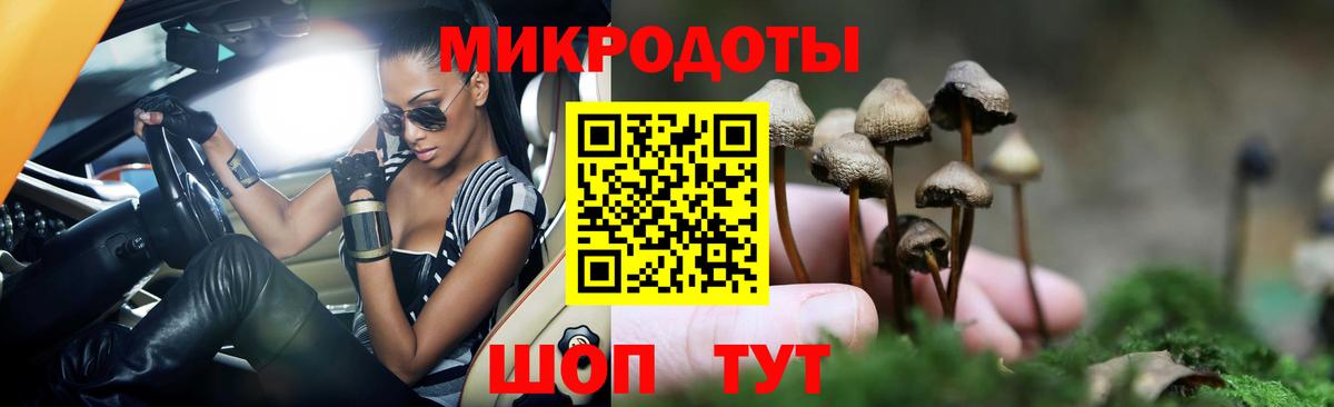 Обь  Псилоцибиновые грибы мицелий  Вход с VPN 